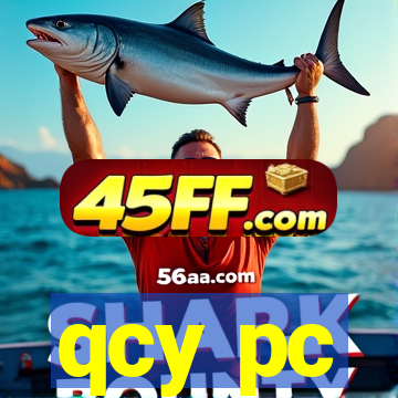 qcy pc